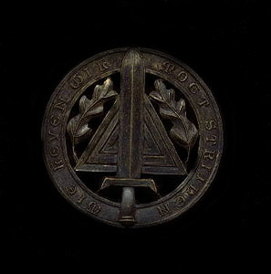 Flemish AntiTerrorist Badge