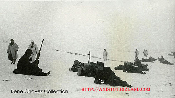 Cossack Photo