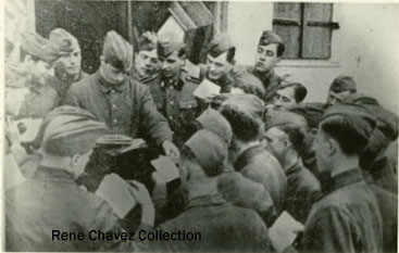 Flemish Volunteers