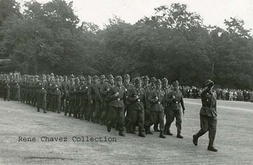 Norwegian Legion Pic