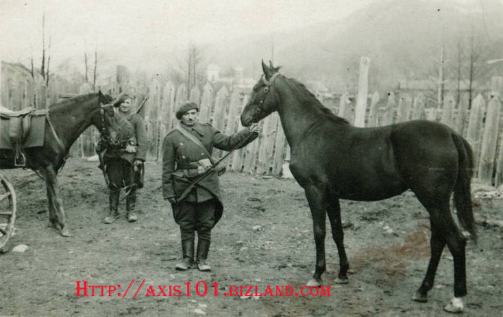 Romanian Soldiers