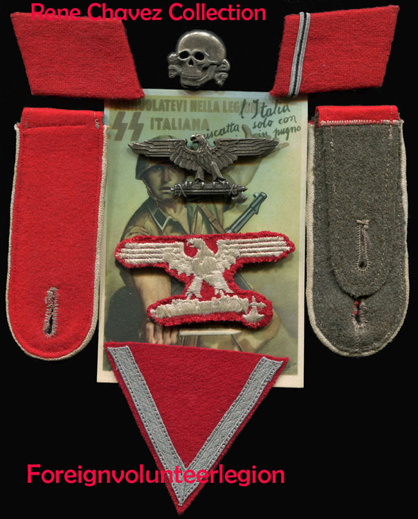 Italian SS Insignia