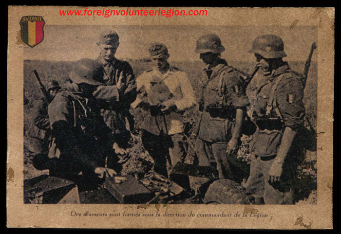 Walloon Propaganda Postcard